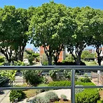 Lemon Tree Apartments