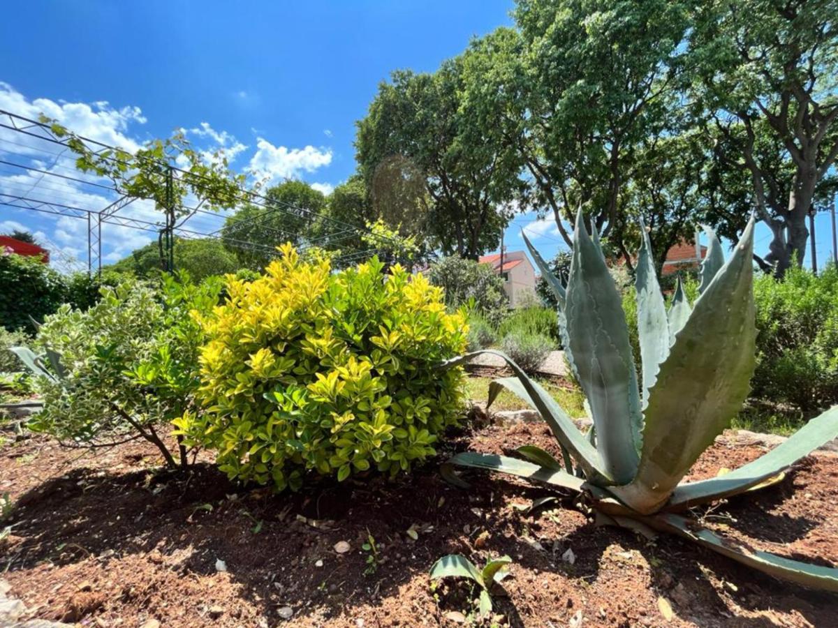 Apartament Lemon Tree