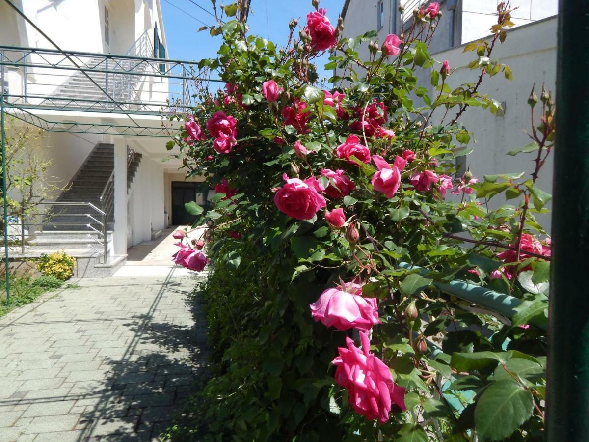 Lemon Tree Apartament *